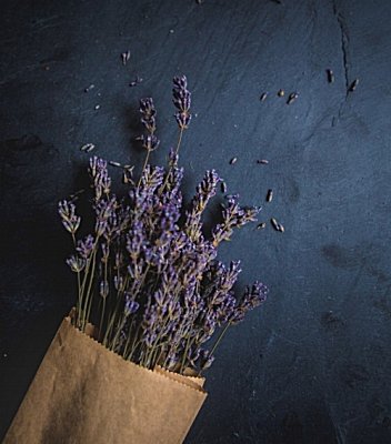 Oud Lavender Parfümöl